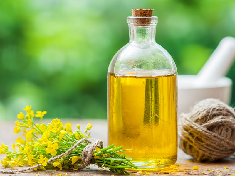 蒸汽发生器如何作用于榨菜籽油呢?(图2) 蒸汽发生器如何作用于榨菜籽油呢?(图2)