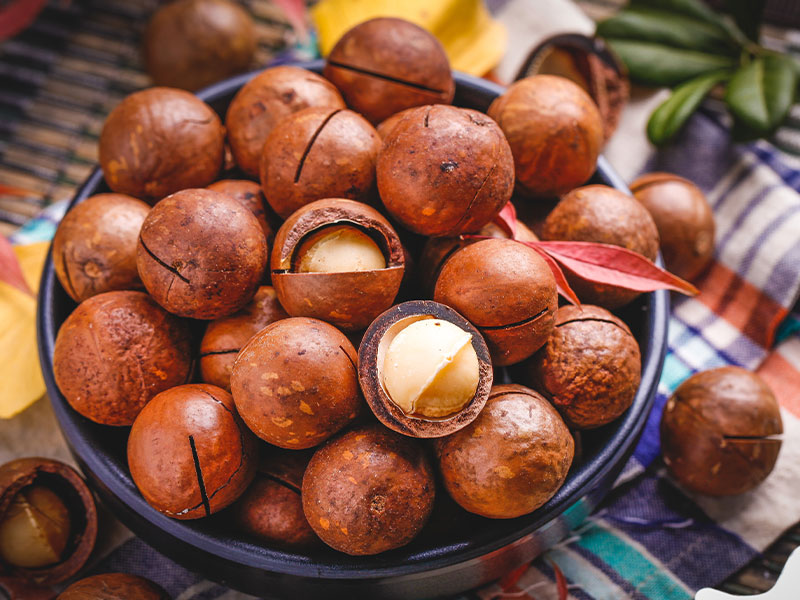 蒸汽发生器在夏威夷果烘干时有怎样的作用?(图4) 蒸汽发生器在夏威夷果烘干时有怎样的作用?(图4)