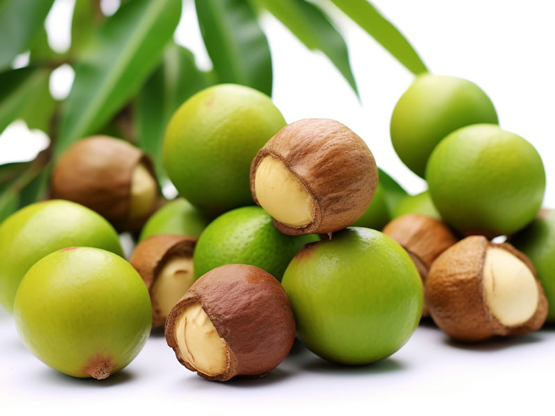 蒸汽发生器在夏威夷果烘干时有怎样的作用?(图3) 蒸汽发生器在夏威夷果烘干时有怎样的作用?(图3)