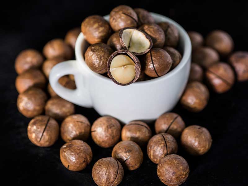 蒸汽发生器在夏威夷果烘干时有怎样的作用?(图1) 蒸汽发生器在夏威夷果烘干时有怎样的作用?(图1)