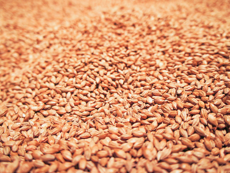 蒸汽发生器在面粉制作过程中的作用?(图2) 蒸汽发生器在面粉制作过程中的作用?(图2)