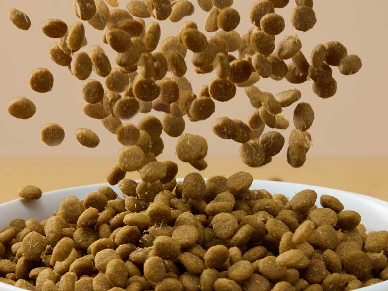 饲料添加剂生产厂家为何青睐复合舱蒸汽发生器?(图2) 饲料添加剂生产厂家为何青睐复合舱蒸汽发生器?(图2)