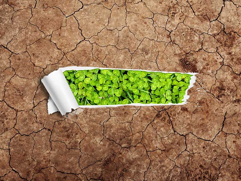 蒸汽发生器在培育土生产中的作用与优势?(图2) 蒸汽发生器在培育土生产中的作用与优势?(图2)