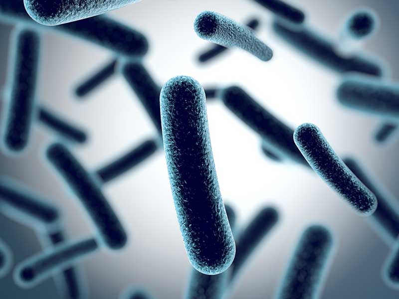 复合舱蒸汽发生器在灭菌工序中的应用及优势？(图2)