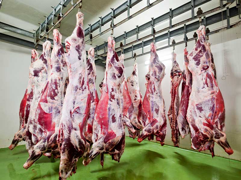 屠宰场生产过程中复合舱蒸汽发生器的作用是什么?(图1) 屠宰场生产过程中复合舱蒸汽发生器的作用是什么?(图1)