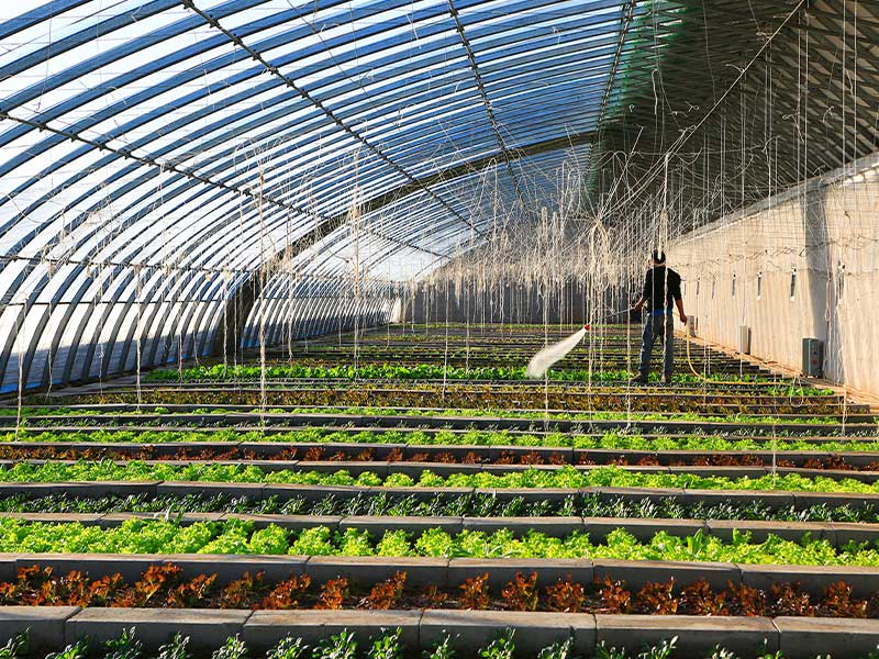 复合舱蒸汽发生器用于温室大棚时有什么优势？(图2)