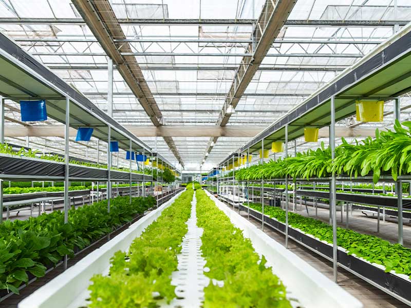 复合舱蒸汽发生器用于温室大棚时有什么优势？(图1)