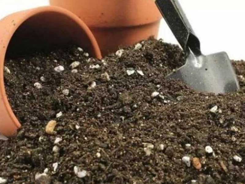 营养土生产过程中复合舱蒸汽发生器的作用(图1)