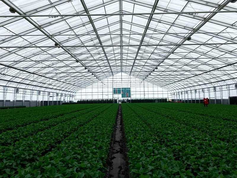 营养土生产过程中复合舱蒸汽发生器的作用(图2)