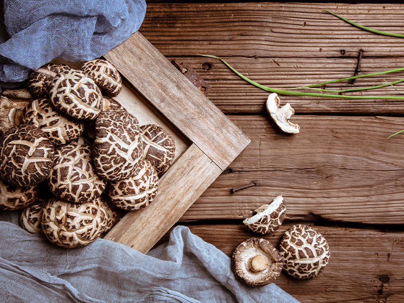 菌类烘干的过程中蒸汽发生器可以产生怎样的作用?(图2) 菌类烘干的过程中蒸汽发生器可以产生怎样的作用?(图2)