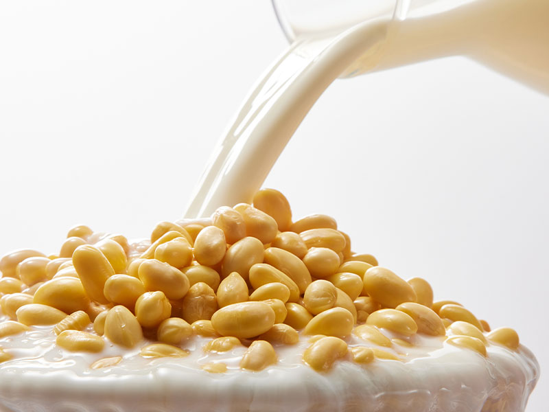 香醇可口的豆浆粉使用蒸汽发生器是如何制作的?(图2) 香醇可口的豆浆粉使用蒸汽发生器是如何制作的?(图2)