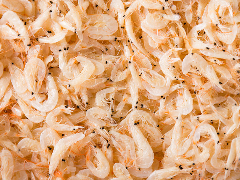 蒸汽发生器为什么能够服务于虾皮烘干?(图2) 蒸汽发生器为什么能够服务于虾皮烘干?(图2)