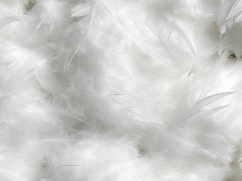 羽绒服制作过程中蒸汽发生器产生了哪些作用?(图2) 羽绒服制作过程中蒸汽发生器产生了哪些作用?(图2)