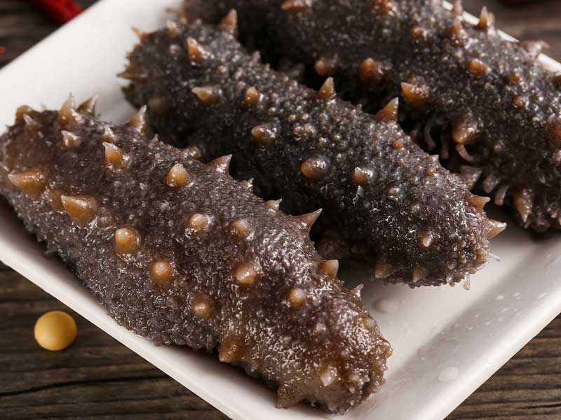 海参干燥过程中蒸汽发生器有哪些作用?(图1) 海参干燥过程中蒸汽发生器有哪些作用?(图1)