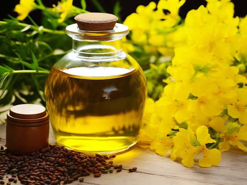 菜籽油生产过程中蒸汽发生器有哪些作用?(图1) 菜籽油生产过程中蒸汽发生器有哪些作用?(图1)