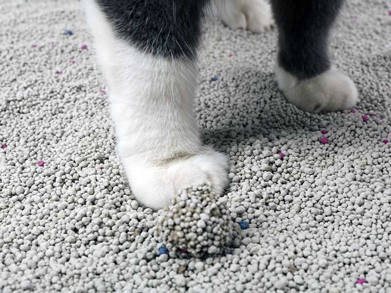 猫砂生产中蒸汽发生器都产生了哪些作用?(图1) 猫砂生产中蒸汽发生器都产生了哪些作用?(图1)