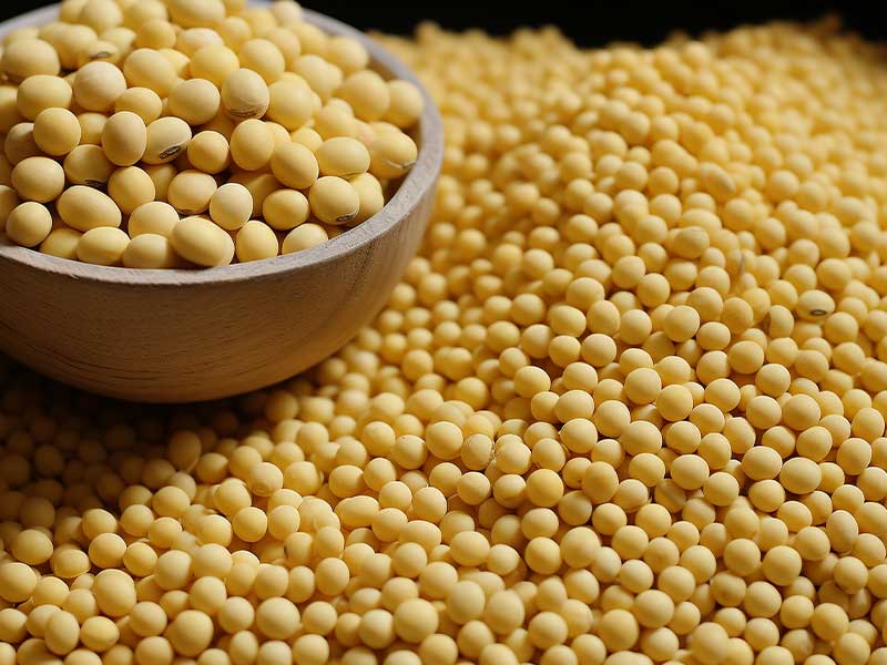 天气降温，让大豆纤维被子来陪你过冬！(图2)