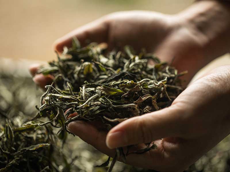 蒸汽发生器：茶叶烘干环节的品质与效率引擎(图1)