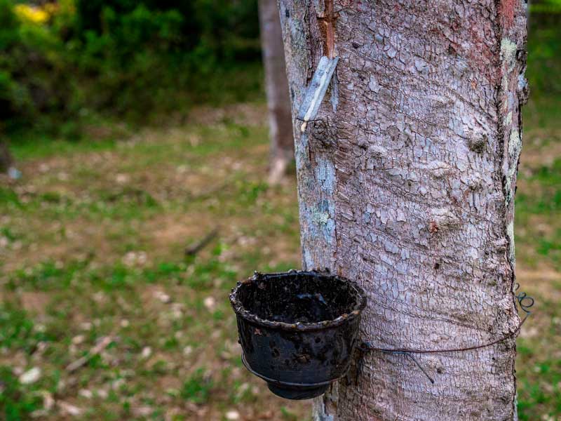 复合舱蒸汽发生器：橡胶硫化的 “热动力”(图1)