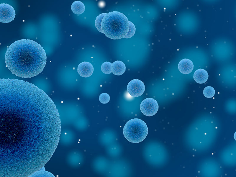 杀菌釜的最佳搭档为什么会是蒸汽发生器？(图2)