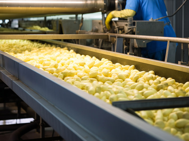 在中央厨房里蒸汽发生器产生了怎样的作用?(图1) 在中央厨房里蒸汽发生器产生了怎样的作用?(图1)