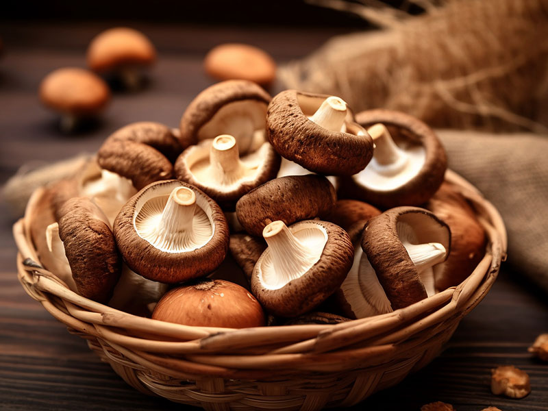 用蒸汽烘干的香菇一解“秋乏”(图1) 用蒸汽烘干的香菇一解“秋乏”(图1)