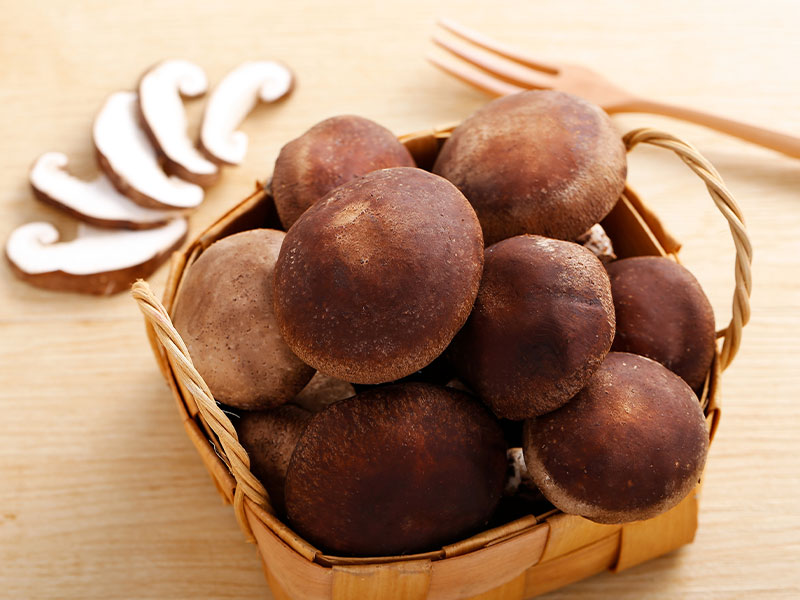 用蒸汽烘干的香菇一解“秋乏”(图2) 用蒸汽烘干的香菇一解“秋乏”(图2)