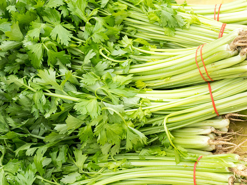 中央厨房必备神器 —— 蒸汽发生器的巧妙运用(图3) 中央厨房必备神器 —— 蒸汽发生器的巧妙运用(图3)