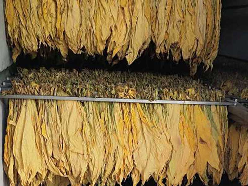 烟叶烘干时复合舱蒸汽发生器都有哪些作用?(图1) 烟叶烘干时复合舱蒸汽发生器都有哪些作用?(图1)