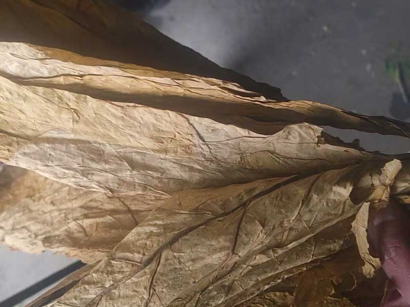 烟叶烘干时复合舱蒸汽发生器都有哪些作用?(图2) 烟叶烘干时复合舱蒸汽发生器都有哪些作用?(图2)