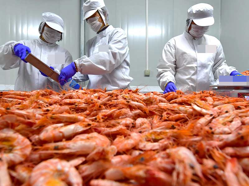 复合舱蒸汽发生器把“鲜”味留在四季(图1) 复合舱蒸汽发生器把“鲜”味留在四季(图1)