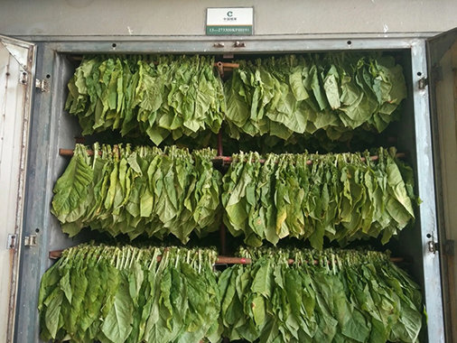 1680079813112062.jpg 烟草智能烘烤电磁加热设计(图1)