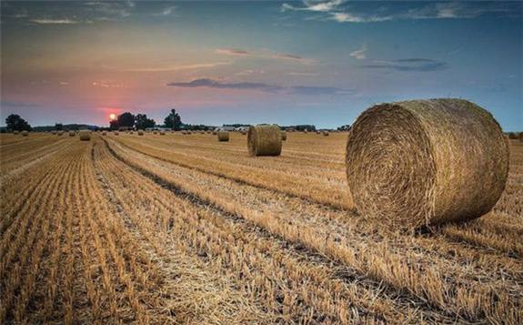 2030年我国利用生物质能减碳将超9亿吨(图1)