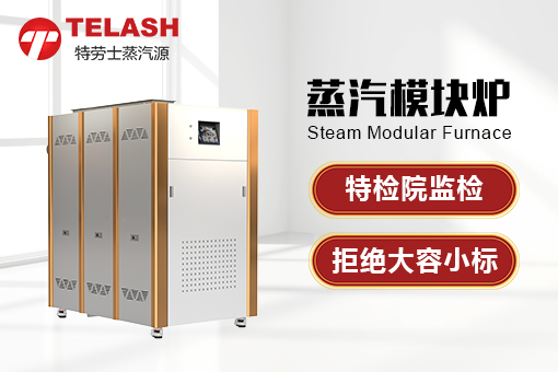 蒸汽模块炉有哪些安全保护措施?(图1)