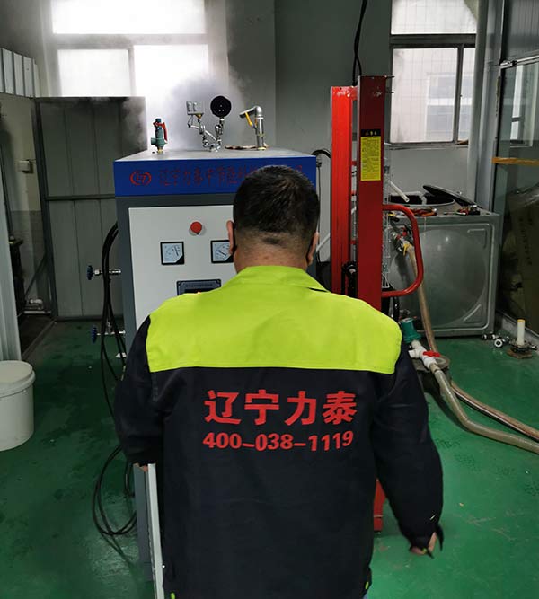 郑州电锅炉让你幸福的猫冬(图1)